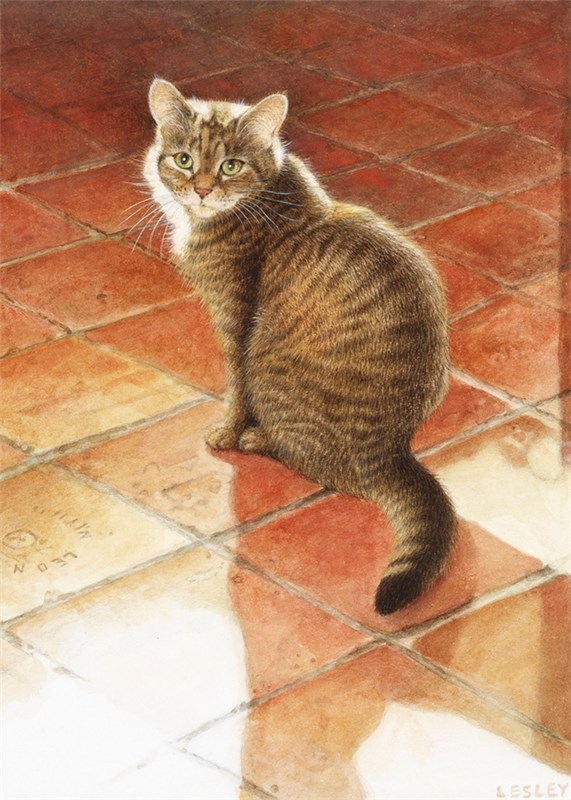 レズリーアンアイボリー 猫の輸入グリーティングカード封筒付 Christie in early morning sunshineの画像
