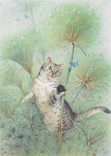 レズリーアンアイボリー 猫の輸入グリーティングカード封筒付 Mintaka in papyrus thicketの画像