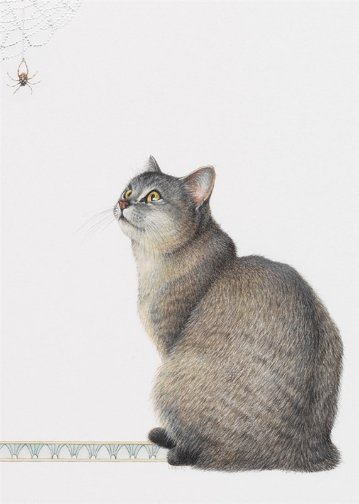 レズリーアンアイボリー 猫の輸入グリーティングカード封筒付 Amulet and the garden spiderの画像