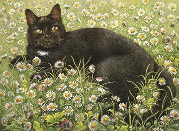レズリーアンアイボリー 猫の輸入グリーティングカード封筒付　Gabrielle in daisiesの画像