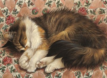 レズリーアンアイボリー 猫の輸入グリーティングカード封筒付　Agneatha on rose hexagonsの画像