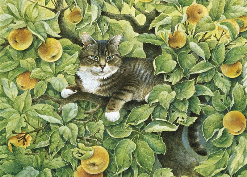 レズリーアンアイボリー 猫の輸入グリーティングカード封筒付　Gemma in the apple treeの画像
