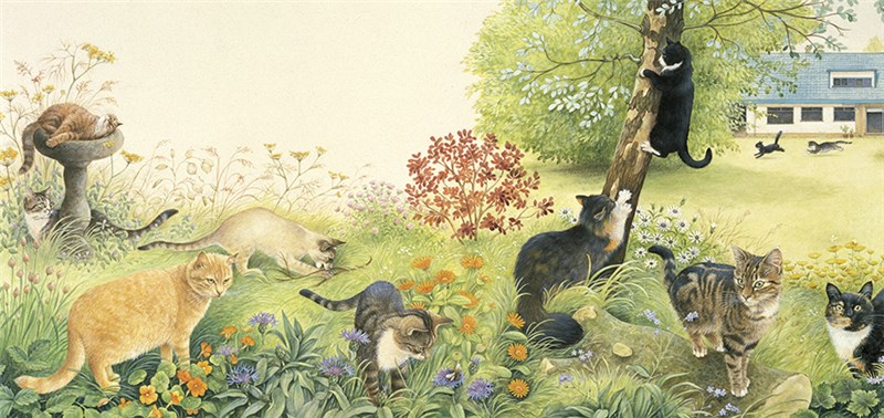 レズリーアンアイボリー 猫の輸入グリーティングカード封筒付　All the cats in the gardenの画像