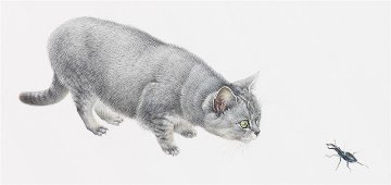 レズリーアンアイボリー 猫の輸入グリーティングカード封筒付 Amulet and the Stag Beetleの画像