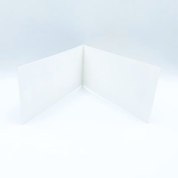 レズリーアンアイボリー 猫の輸入グリーティングカード封筒付 Amulet and the Stag Beetleの画像