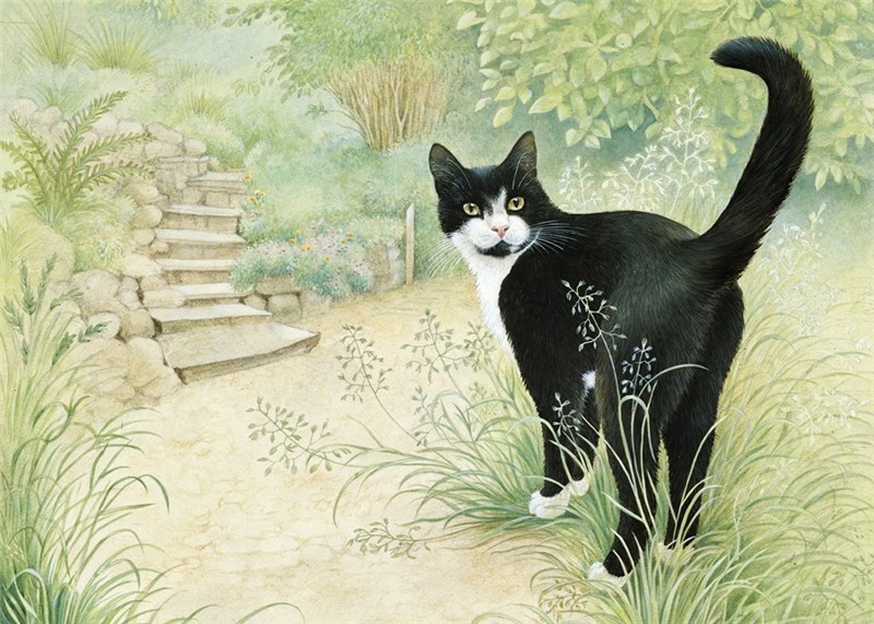 レズリーアンアイボリー 猫の輸入グリーティングカード封筒付 Chesterton in the gardenの画像