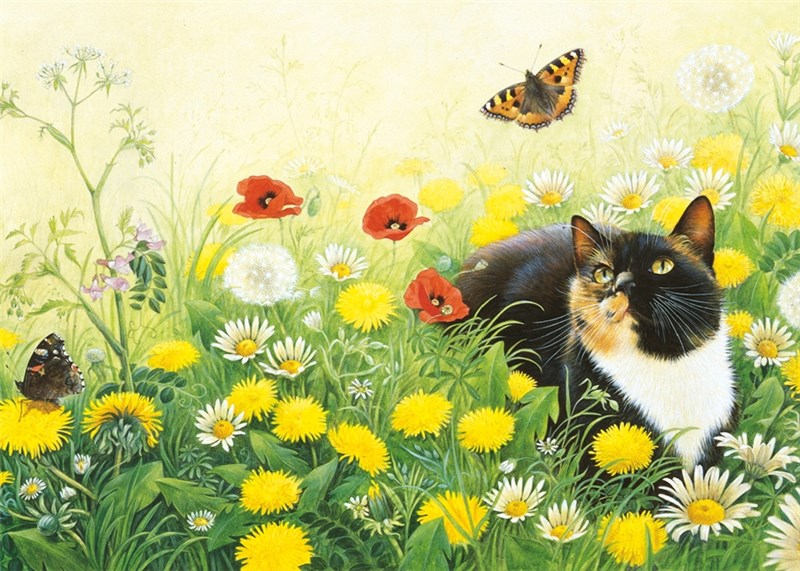 レズリーアンアイボリー 猫の輸入グリーティングカード封筒付 Motley and the small tortoiseshellの画像