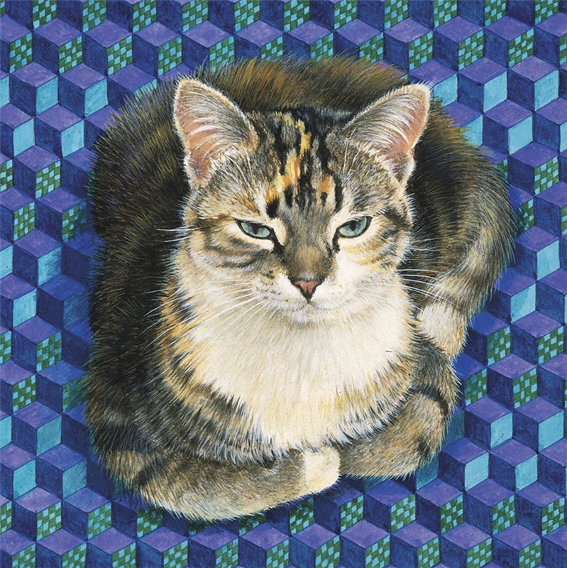 レズリーアンアイボリー 猫の輸入グリーティングカード封筒付 Sheena on block patchworkの画像