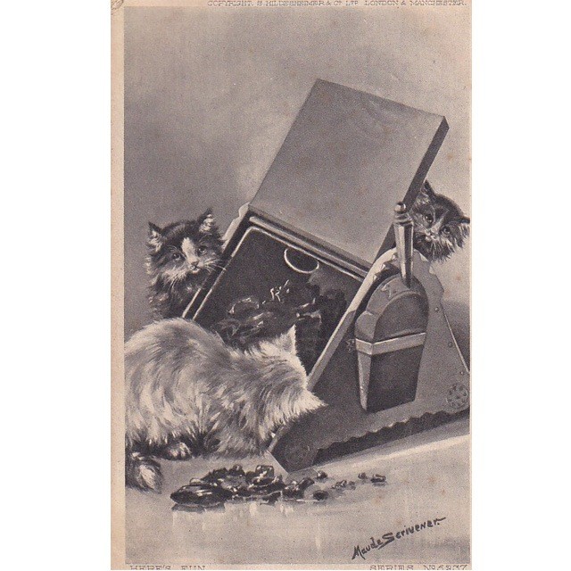 3匹の猫のアンティークポストカード　Maude Scrivener 1905年消印の画像