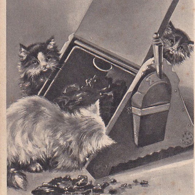 3匹の猫のアンティークポストカード　Maude Scrivener 1905年消印の画像