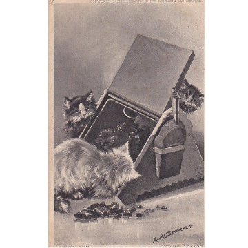 3匹の猫のアンティークポストカード　Maude Scrivener 1905年消印の画像
