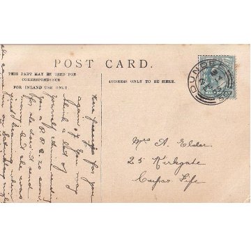 3匹の猫のアンティークポストカード　Maude Scrivener 1905年消印の画像