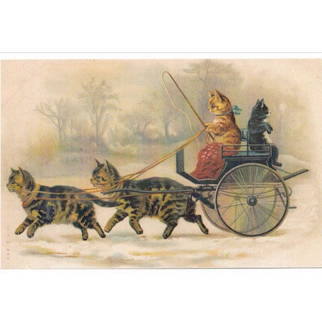 ヘレナ・マグワイア Helena Maguire 馬車に乗る猫のポストカードTIM & SAILOR オリジナルの画像