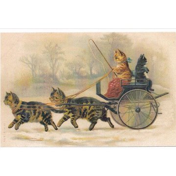 ヘレナ・マグワイア Helena Maguire 馬車に乗る猫のポストカードTIM & SAILOR オリジナルの画像