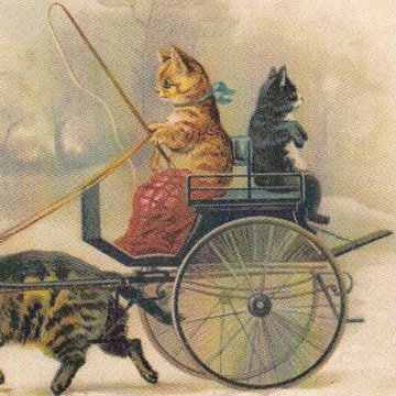 ヘレナ・マグワイア Helena Maguire 馬車に乗る猫のポストカードTIM & SAILOR オリジナルの画像