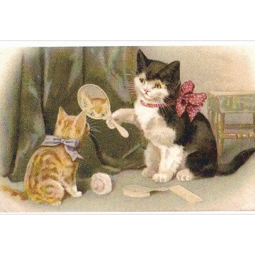 ヘレナ・マグワイア Helena Maguire 鏡を見せる猫のポストカードTIM & SAILOR オリジナルの画像