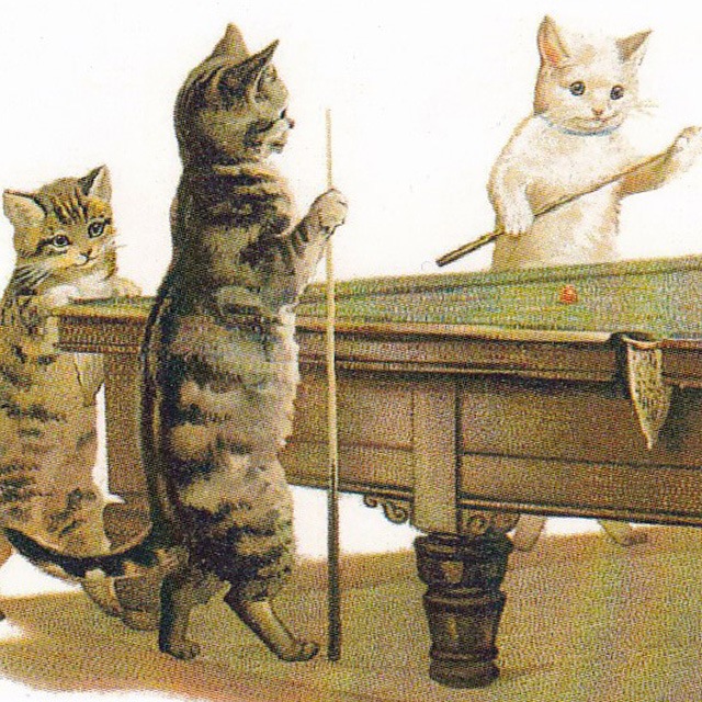 ヘレナ・マグワイア Helena Maguire ビリヤードをする猫のポストカードTIM & SAILOR オリジナルの画像