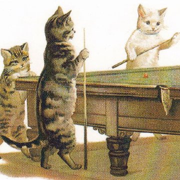 ヘレナ・マグワイア Helena Maguire ビリヤードをする猫のポストカードTIM & SAILOR オリジナルの画像