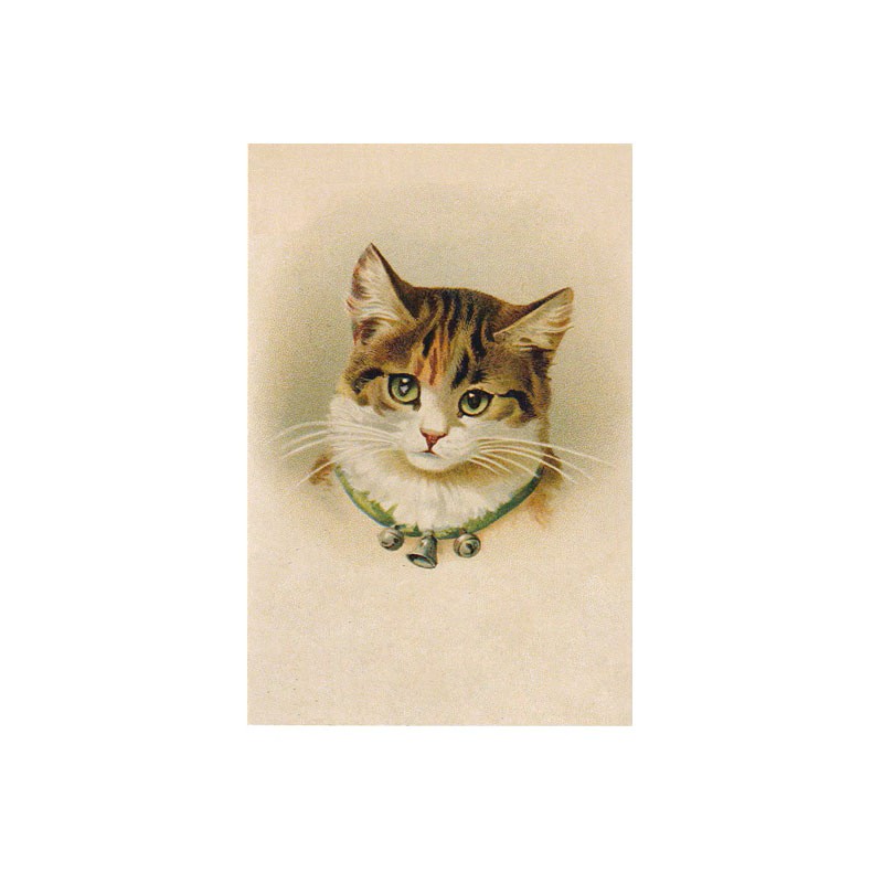 ヴィクトリアンキャットの猫のポストカード　ヘレナ・マグワイア　TIM & SAILOR オリジナルの画像