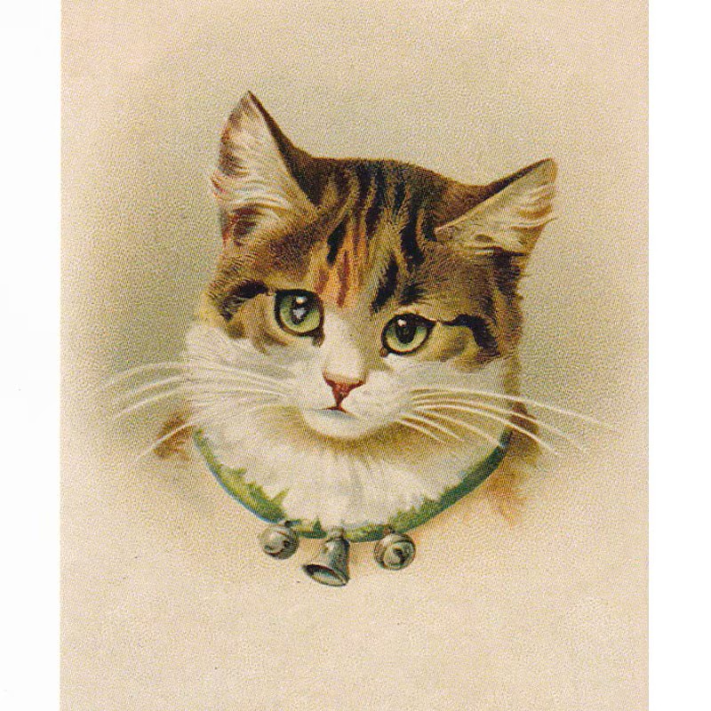 ヴィクトリアンキャットの猫のポストカード　ヘレナ・マグワイア　TIM & SAILOR オリジナルの画像