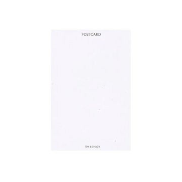 ヴィクトリアンキャットの猫のポストカード　ヘレナ・マグワイア　TIM & SAILOR オリジナルの画像