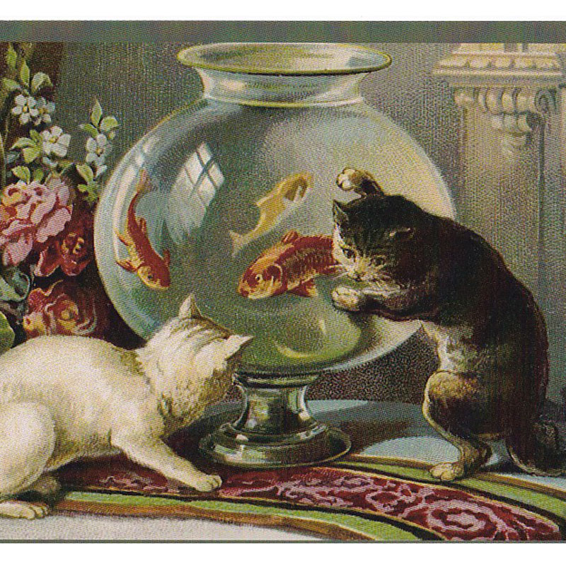 金魚鉢の金魚を見つめる猫のポストカード　アンティーク画　TIM & SAILOR オリジナルの画像