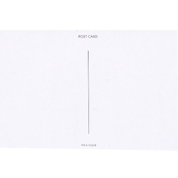 金魚鉢の金魚を見つめる猫のポストカード　アンティーク画　TIM & SAILOR オリジナルの画像