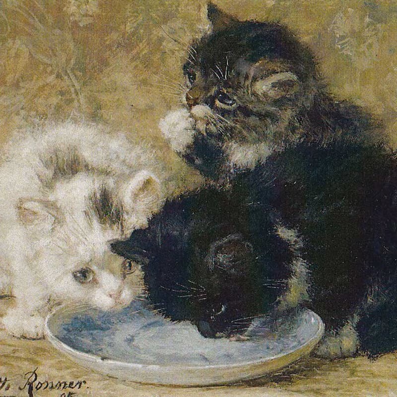 Henriette Ronner-Knip "Three Kittens" アンティーク猫の絵のポストカード TIM & SAILORオリジナル ポストカード　TIM & SAILORオリジナルの画像
