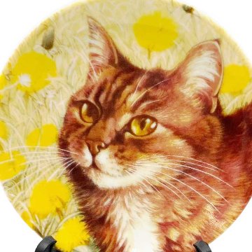 ロイヤルウースター アイボリーキャッツ 猫のミニ絵皿 BLOSSOM IN THE DANDELIONSの画像