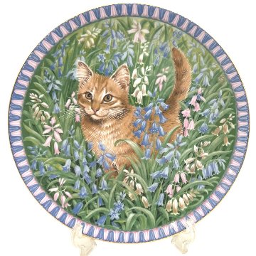 エインズレイ レズリー・アン・アイボリー猫の絵皿 Meet My Kittens 3月スピロの画像