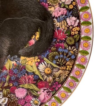 エインズレイ レズリー・アン・アイボリー猫の絵皿 Meet My Kittens 10月チェスタートンの画像