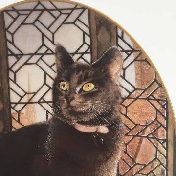 ロイヤルウースター Lesley Anne Ivory オーバル型絵皿 黒猫 2002年の画像