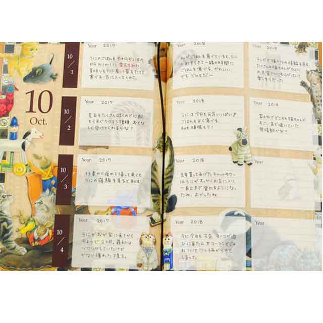IVORY CATS 3年日記 愛猫の成長記録にも！の画像