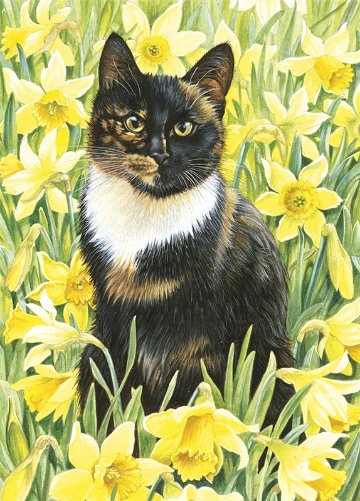 レズリーアンアイボリー 猫の輸入グリーティングカード封筒付 Motley in wild daffodilsの画像