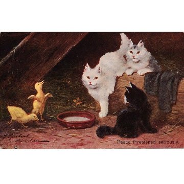 3匹の猫ちゃんとひよこのアンティークポストカード　Sophie Sperlich 1900初期の画像