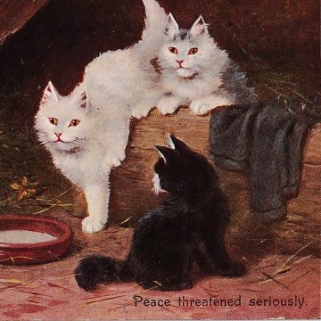 3匹の猫ちゃんとひよこのアンティークポストカード　Sophie Sperlich 1900初期の画像