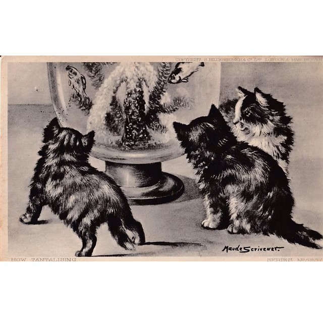 猫と水槽のアンティークポストカード　Maude Scrivener 1904年消印の画像