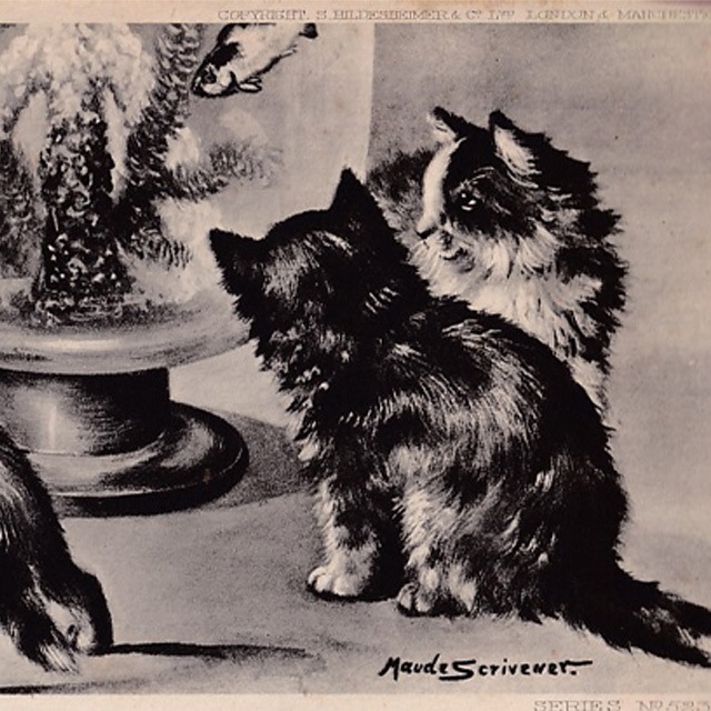 猫と水槽のアンティークポストカード　Maude Scrivener 1904年消印の画像