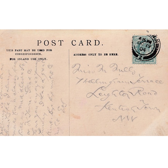 猫と水槽のアンティークポストカード　Maude Scrivener 1904年消印の画像