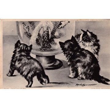 猫と水槽のアンティークポストカード　Maude Scrivener 1904年消印の画像