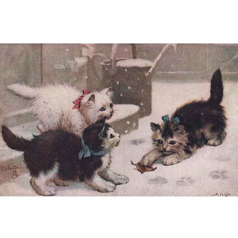 雪の中で遊ぶ猫たちのポストカードA Little Victim B.Cobbe 1909年の画像