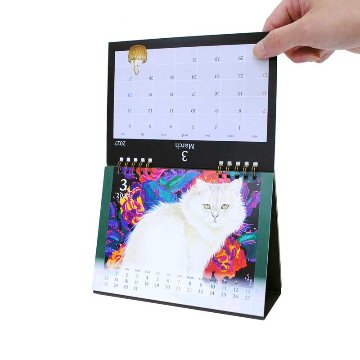 2027年カレンダー アイボリーキャッツ IVORY CATS 卓上カレンダー　ディアカーズの画像