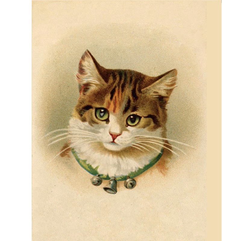 ヴィクトリアンキャットの猫のクリアファイル A4サイズ TIM & SAILORオリジナルの画像