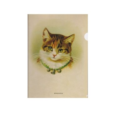 ヴィクトリアンキャットの猫のクリアファイル A4サイズ TIM & SAILORオリジナルの画像