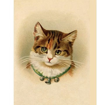 ヴィクトリアンキャットの猫のクリアファイル A4サイズ TIM & SAILORオリジナルの画像