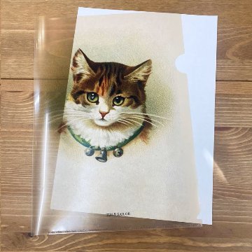 ヴィクトリアンキャットの猫のクリアファイル A4サイズ TIM & SAILORオリジナルの画像