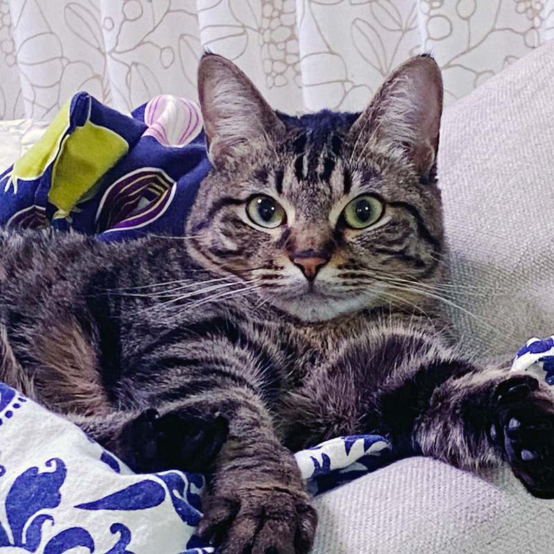 ハナ