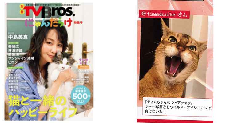 にゃんだらけ特集号