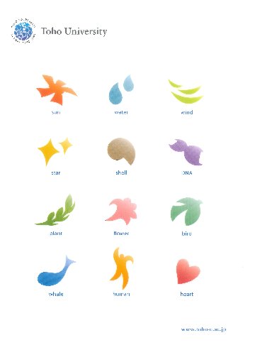 クリアファイル(白)の画像