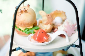 【8月】水族館のにゃんこアフタヌーンティー(喫茶時々、雨さんコラボ)「抽選」申込の画像